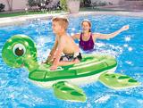 ***Turtle ride-on***