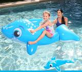 ***Dolphin ride-on***